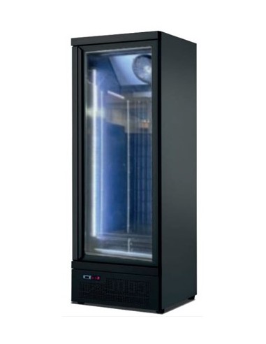 Armario Expositor Refrigerado Subcero -2ºC Puerta Vidrio BLG600