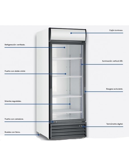 Armario Expositor Refrigerado 500 litros puerta de cristal. EXPO500TN