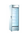Armario Expositor Refrigerado puerta de cristal 300 litros EXPO300TN